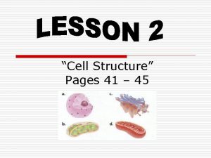 Cell Structure Pages 41 45 CHLOROPLASTS o Green