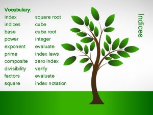 square root cube root integer evaluate index laws