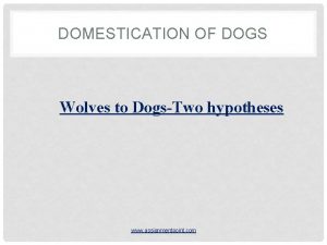 DOMESTICATION OF DOGS Wolves to DogsTwo hypotheses www