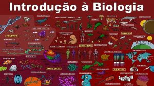 Introduo Biologia ndice Cincia e mtodo cientfico A