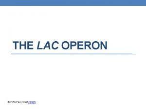 THE LAC OPERON 2016 Paul Billiet ODWS The