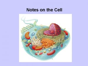 Notes on the Cell Prokaryotic vs Eukaryotic Prokaryotic