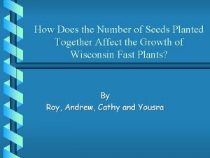 How Does the Number of Seeds Planted Together