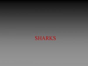 SHARKS Sharks the beginningor the end Existence of