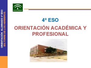 ORIENTACIN ALUMNADO 4 ESO IES TORRE DE LOS