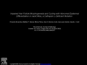 Impaired Hair Follicle Morphogenesis and Cycling with Abnormal