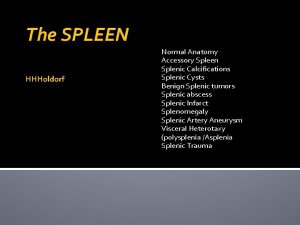 The SPLEEN HHHoldorf Normal Anatomy Accessory Spleen Splenic