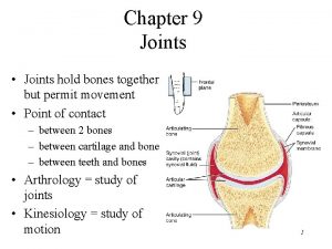 Chapter 9 Joints Joints hold bones together but