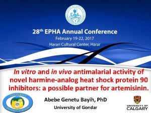 In vitro and in vivo antimalarial activity of