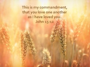 This is my commandment that you love one