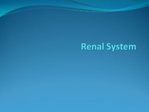 Renal System Role of Kidney renal system referring