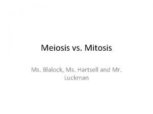 Meiosis vs Mitosis Ms Blalock Ms Hartsell and
