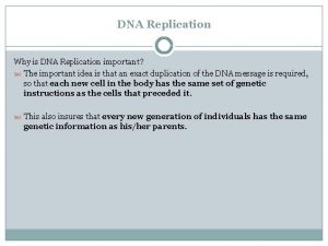 DNA Replication Why is DNA Replication important The