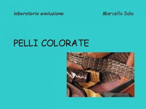 laboratorio evoluzione PELLI COLORATE Marcello Sala Elio e