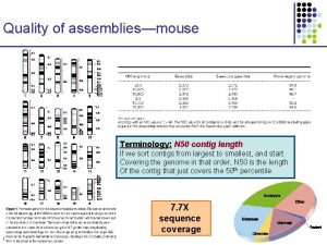 Quality of assembliesmouse Terminology N 50 contig length