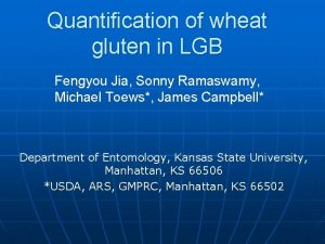 Quantification of wheat gluten in LGB Fengyou Jia