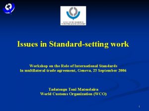 Issues in Standardsetting work Workshop on the Role