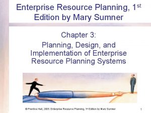 Enterprise Resource Planning 1 st Edition by Mary