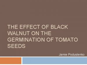THE EFFECT OF BLACK WALNUT ON THE GERMINATION