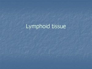Lymphoid tissue Lymphoid Tissue n Lymphoid tissue is