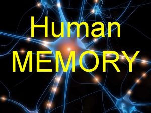 Human MEMORY Lets define memory Our ability to