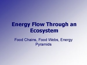 Energy Flow Through an Ecosystem Food Chains Food
