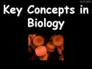 16122021 Key Concepts in Biology 16122021 Plant and