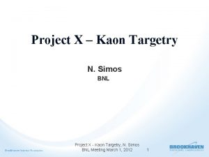 Project X Kaon Targetry N Simos BNL Project