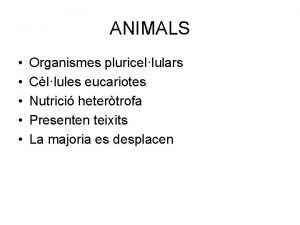 ANIMALS Organismes pluricellulars Cllules eucariotes Nutrici hetertrofa Presenten