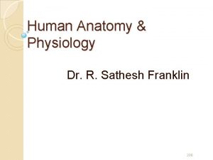 Human Anatomy Physiology Dr R Sathesh Franklin 206