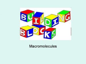 Macromolecules Macromolecule Foldable Carbohydrates Lipids Macromolecules Proteins Nucleic