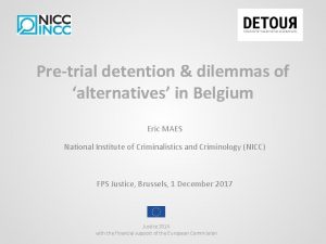 Pretrial detention dilemmas of alternatives in Belgium Eric