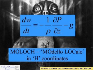 MOLOCH MOdello LOCale in H coordinates ISTITUTO DI