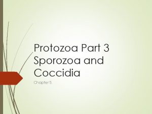 Protozoa Part 3 Sporozoa and Coccidia Chapter 5