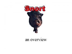 an overview Snort is an Intrusion Detection System