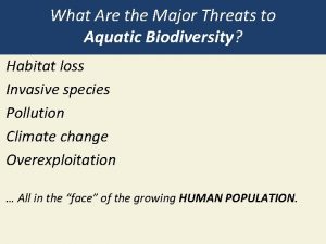 What Are the Major Threats to Aquatic Biodiversity