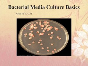 Bacterial Media Culture Basics MBBSPPT COM Major Contribution