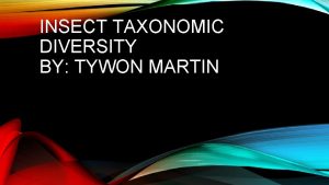 INSECT TAXONOMIC DIVERSITY BY TYWON MARTIN INSECT ORDERS