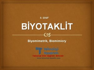 8 SINIF BYOTAKLT Biyomimetrik Biomimicry Doada insan haricinde