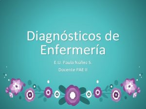 Diagnsticos de Enfermera E U Paula Nez S