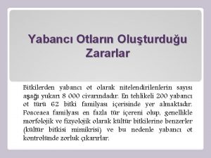 Yabanc Otlarn Oluturduu Zararlar Bitkilerden yabanc ot olarak