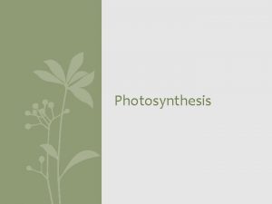 Photosynthesis Lets review what we already know Metabolism