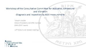 Workshop of the Consultative Committee for Acoustics Ultrasound