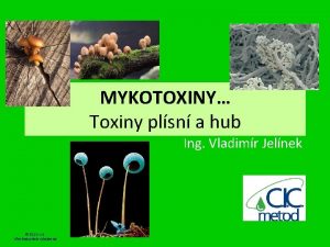 MYKOTOXINY Toxiny plsn a hub Ing Vladimr Jelnek