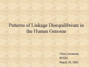 Patterns of Linkage Disequilibrium in the Human Genome