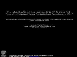 Cooperative Interaction of Hypoxiainducible Factor2 HIF2 and Ets1