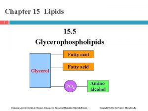 Chapter 15 Lipids 1 15 5 Glycerophospholipids Fatty