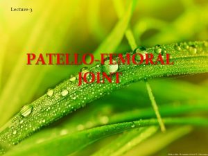 Lecture3 PATELLOFEMORAL JOINT Patellofemoral Articular Surfaces and Joint