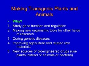 Making Transgenic Plants and Animals Why 1 Study