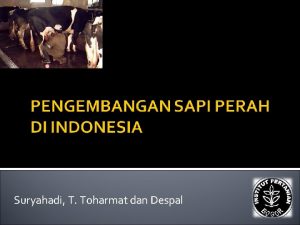 Suryahadi T Toharmat dan Despal Permasalahan Sapi Perah